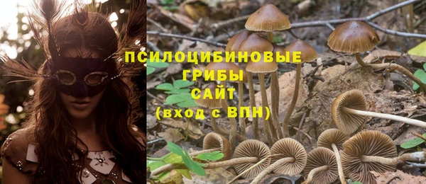 мескалин Магадан