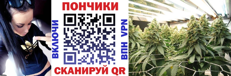 МАРИХУАНА SATIVA & INDICA  закладки  Облучье 